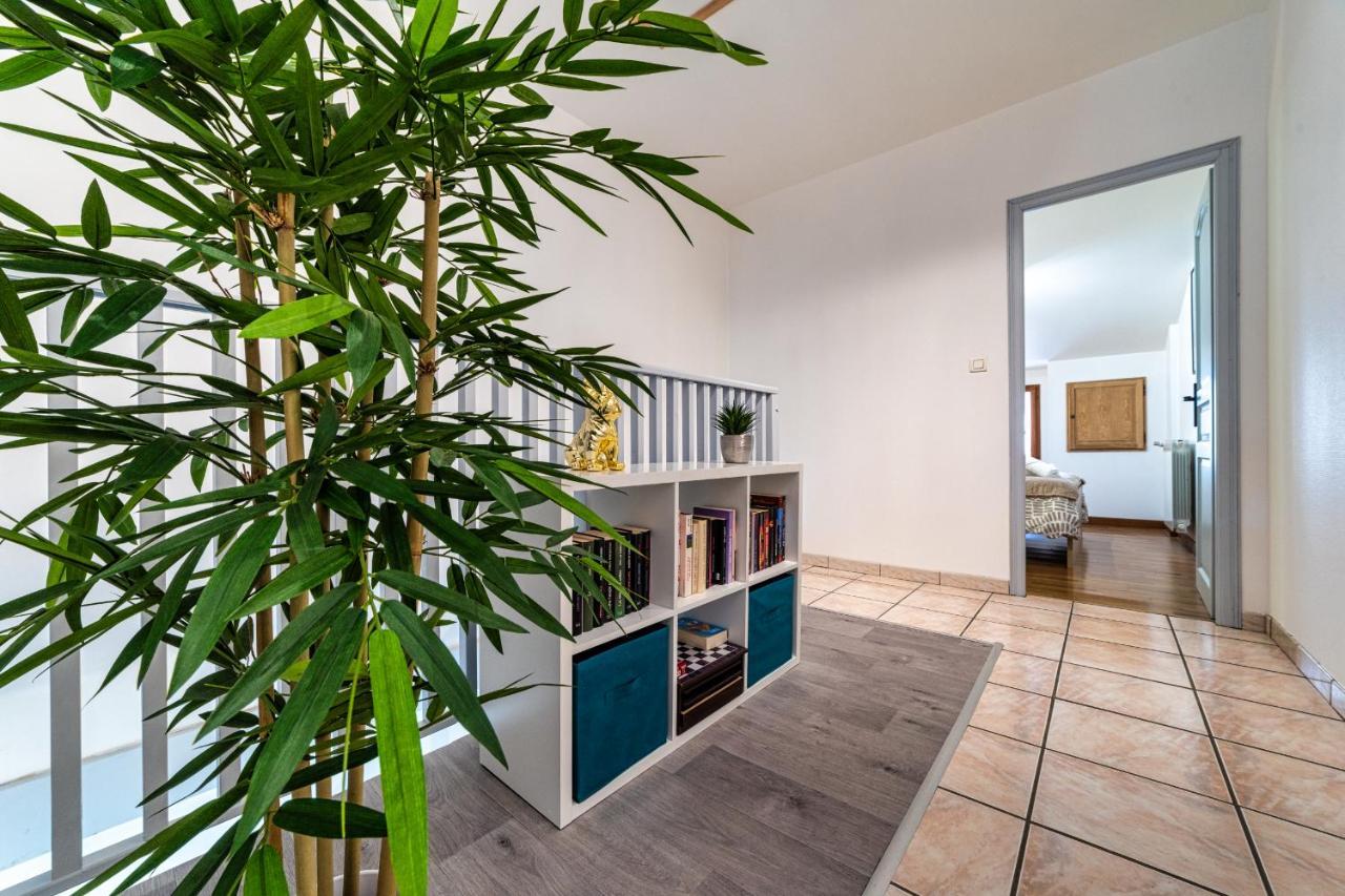 T3 Gaillac St-Jean-Fibre-Netflix-Parking ภายนอก รูปภาพ